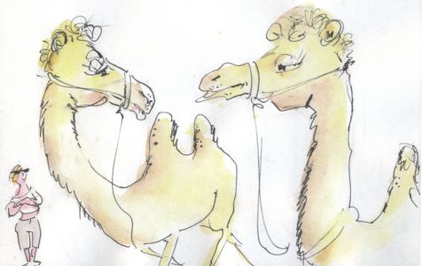 Ausstellung Reiseskizzen Gerda Laufenberg - Kamele
